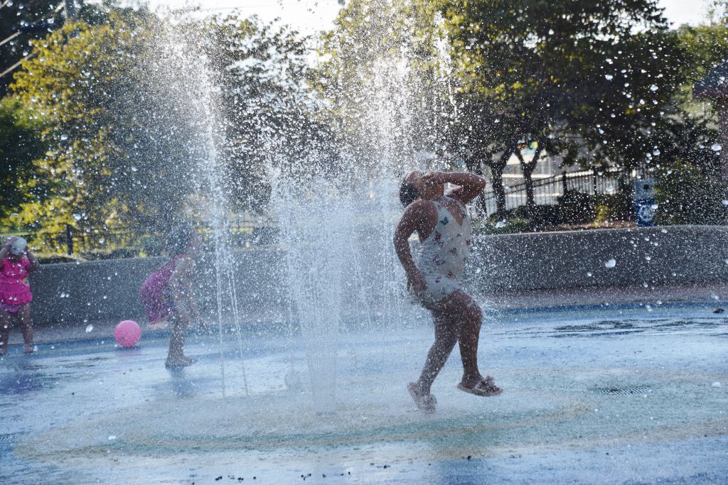 flowers and marthas fountain8-19 053 (1024x683).jpg